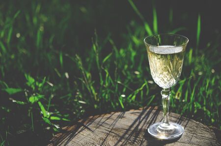 A glass of white wine stands on a wooden stump against the backdrop of green grass in the summer gardenの写真素材