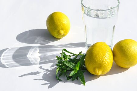 Lemons, fresh green mint and a glass glass with water on a white background. Shadows on a white background. Close-upの写真素材