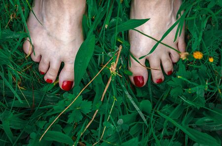 Barefoot women's feet with red nails stand on green grass with drops of dewの写真素材