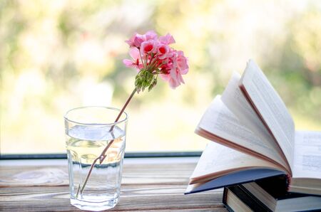 Books are ready for reading lying on a wooden windowsill next to a glass glass with clear water, in...