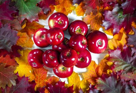 Juicy red apples lie on bright lydhomulti autumn leaves. Close-upの写真素材