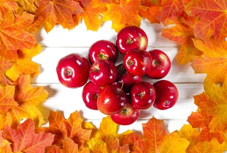 Yellow maple leaves and red juicy apples lie on a white wood background. Close-upの写真素材