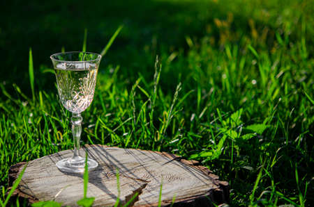 A crystal glass of white wine stands on a wooden stump in the green grassの写真素材