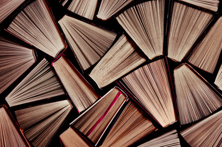 Book set. Book background from multi-colored open books from the home libraryの写真素材