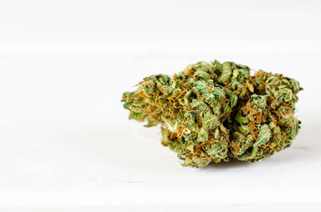 Medical cannabis. Legalization of medical cannabis. Drugs. Cannabis sativaの写真素材