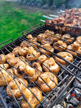 Grilled mushrooms on skewers cooked in a brazierの写真素材
