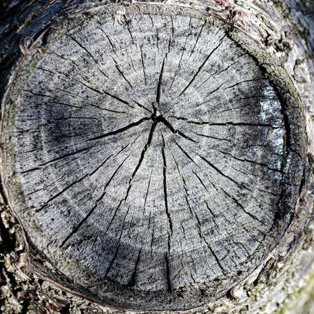Vintage aged dark brown wooden texture close up.の写真素材