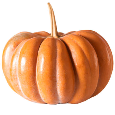 Single fresh orange miniature pumpkin isolated on white backgroundの写真素材