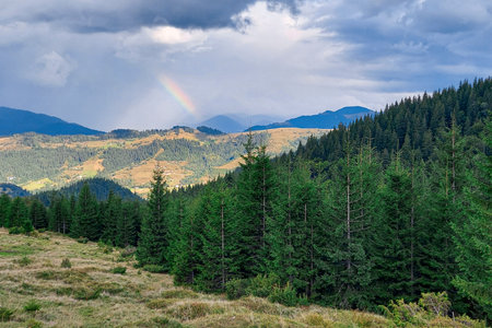 rainbow. High-altitude landscape with forest and colorful rainbow in the skyの写真素材