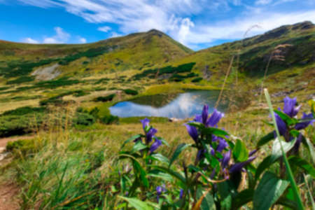 Blurred. High-altitude landscape with forest and colorful rainbow in the sky