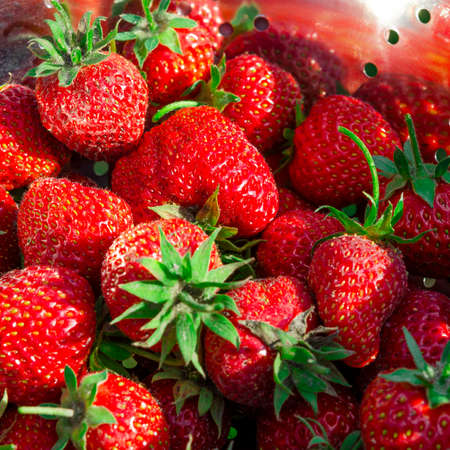 Strawberries background. Strawberry. Food background. Strawberry - full frameの写真素材
