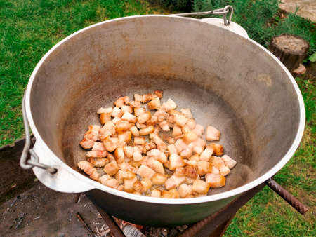 picnic. Cooking meat, bacon with vegetables on the fireの写真素材