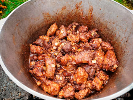 picnic. Cooking meat, bacon with vegetables on the fireの写真素材