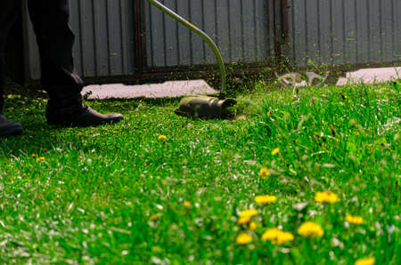 Mowing the grass with a lawn mower. Garden work concept background.の写真素材