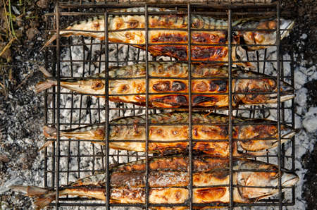 Delicious grilled mackerel fish inside grill grid on charcoal grill brazier. Local sea fish preparation using outdoor brazier barbecue grillの写真素材
