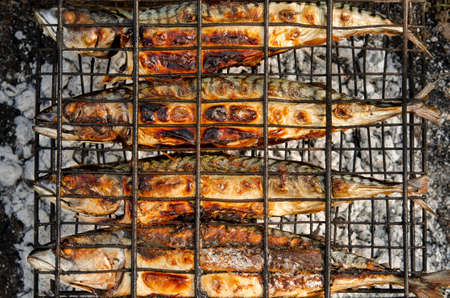 Delicious grilled mackerel fish inside grill grid on charcoal grill brazier. Local sea fish preparation using outdoor brazier barbecue grillの写真素材