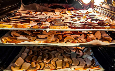 Hydnum repandum mushroom drying in a oven. Mushroomsの写真素材