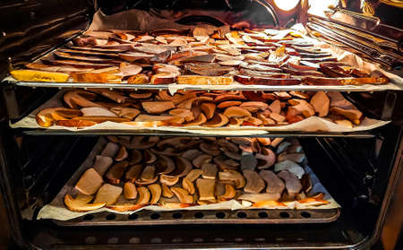 Hydnum repandum mushroom drying in a oven. Mushroomsの写真素材
