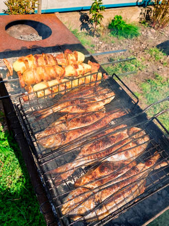 Grilled dorado fish and chicken on BBQ. close upの写真素材