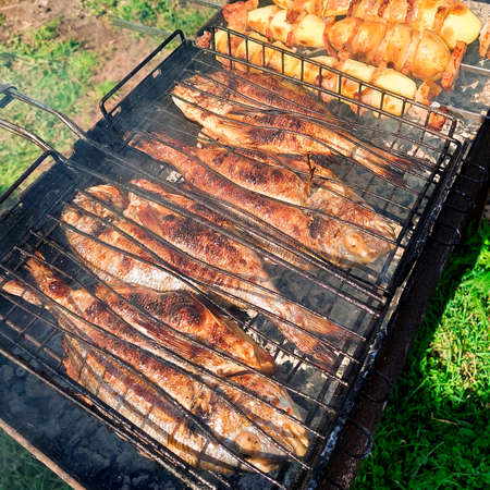 Grilled dorado fish and chicken on BBQ. close upの写真素材