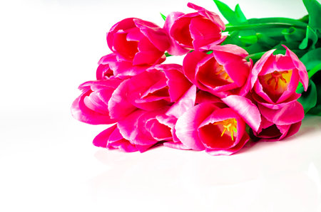 Bouquet of pink tulips isolated on white background with clipping path. top view.の写真素材