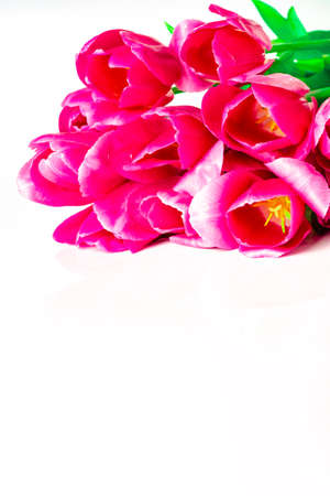 Bouquet of pink tulips isolated on white background with clipping path. top view.の写真素材