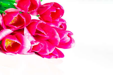 Bouquet of pink tulips isolated on white background . top view.の写真素材