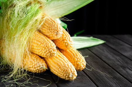 Yellow juicy corn. The harvest of sweet corn lies on a black wooden tableの写真素材