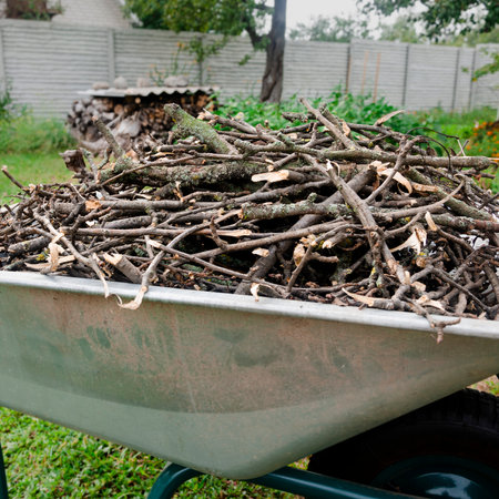 garden work. Pruned branches of young trees lie in a wheelbarrow, which stands in the garden. countrysideの写真素材