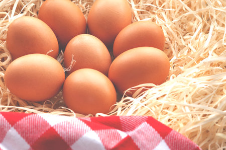 Fresh chicken eggs in a nest next to a checkered napkinの写真素材