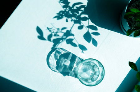 Sharp shadows on a white background. Shadows from an empty glass and leavesの写真素材
