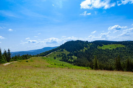 Travel content. Carpathian landscape. Ukrainian Carpathians. Tourismの写真素材