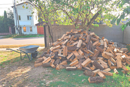 Procurement of firewood in the de-occupied territories of Ukraine. Firewoodの写真素材