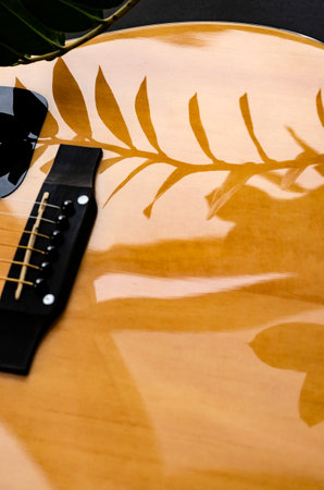 Musical instrument. Sharp shadows on the body of the guitarの写真素材