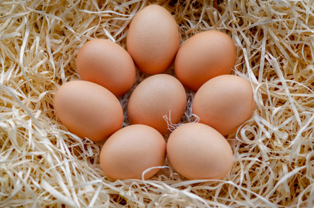 chicken eggs basket on the hey. A pile of brown eggs in a nest.の写真素材