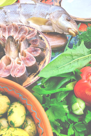 Healthy Organic Lunch of a Rural Ukrainian Fishermanの写真素材