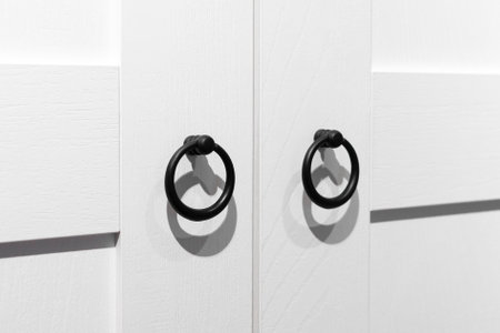 Furniture. Furniture assembly. Black round door handles.の写真素材