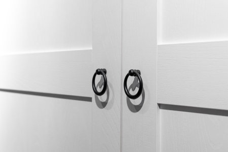 Furniture. Furniture assembly. Black round door handles.の写真素材