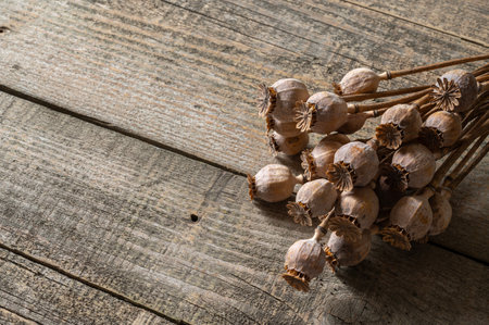 Poppy heads lie on an old wooden table.の写真素材