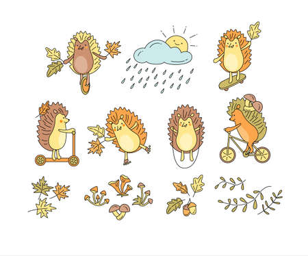 Set of clip arts with hedgehogs on rollers, skateboard, bicycle, scooter, mono wheelのイラスト素材