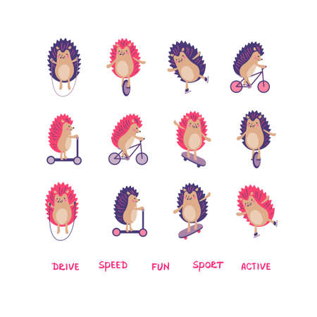 Set of hedgehogs on rollers, skateboard, bicycle, scooter, mono wheel and with skipping rope. Vector color illustration in flat style with words.のイラスト素材