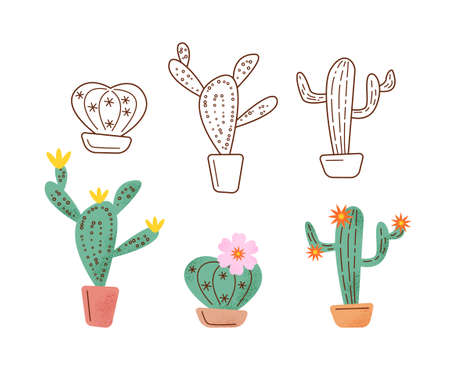 Set of cactuses in outline and flat style with texture. Vector isolated color illustration on white background.のイラスト素材