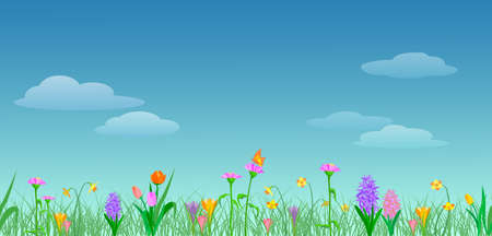 Spring background with clouds and colored flowers hyacinth, tulip, crocus, narcissus in flat style. Vector illustration.のイラスト素材