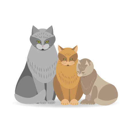 Three cats are sitting on the floor. Vector illustration in flat style.のイラスト素材