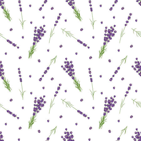 Seamless pattern with lavender. Vector color illustration.のイラスト素材