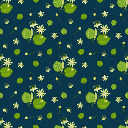 Seamless pattern with linden. Vector color illustration with dark background.のイラスト素材