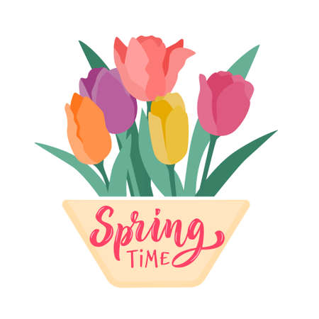 Bouquet of multicolored tulips in pot. Vector illustration with lettering Spring Timeのイラスト素材