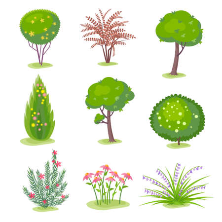 Set of plants clip art for landscaping design. Vector color illustration on white backgroundのイラスト素材