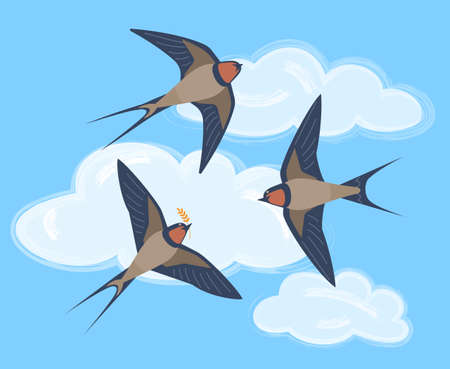 Three swallow birds in the sky. vector color illustrationのイラスト素材