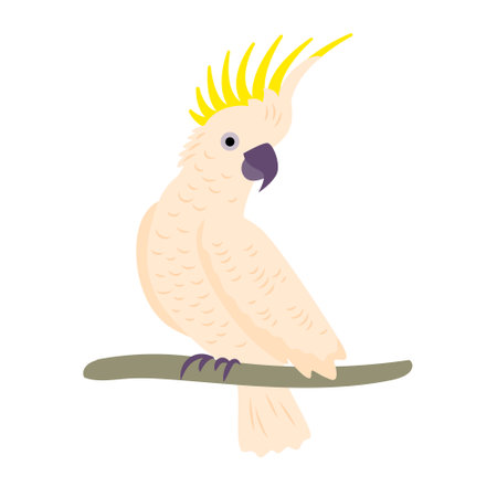 Cockatoo parrot on a branch.Vector isolated color illustrationのイラスト素材